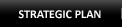 Strategic Plan