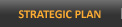 Strategic Plan