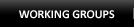 Working Groups