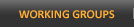 Working Groups